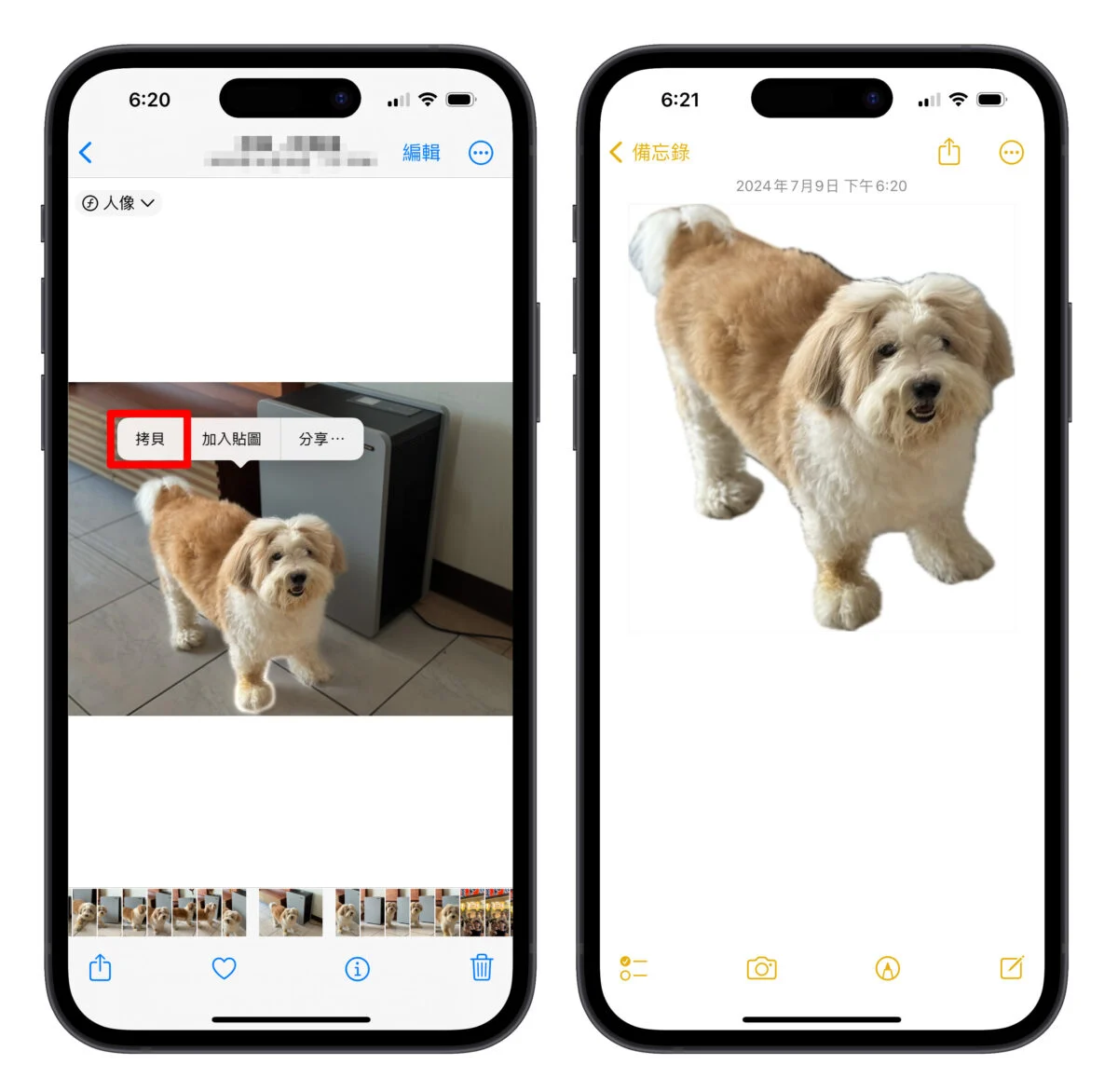iPhone 照片去背完整教学：免下载 App、内建相簿帮你一键照片去背景