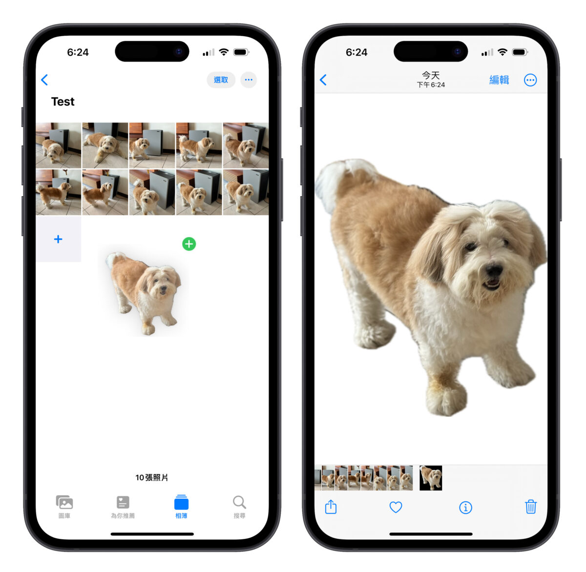 iPhone 照片去背完整教学：免下载 App、内建相簿帮你一键照片去背景