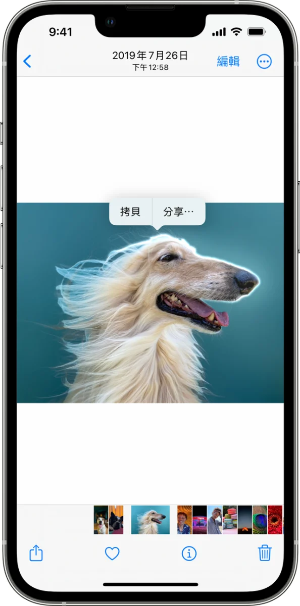 iPhone 照片去背完整教学：免下载 App、内建相簿帮你一键照片去背景