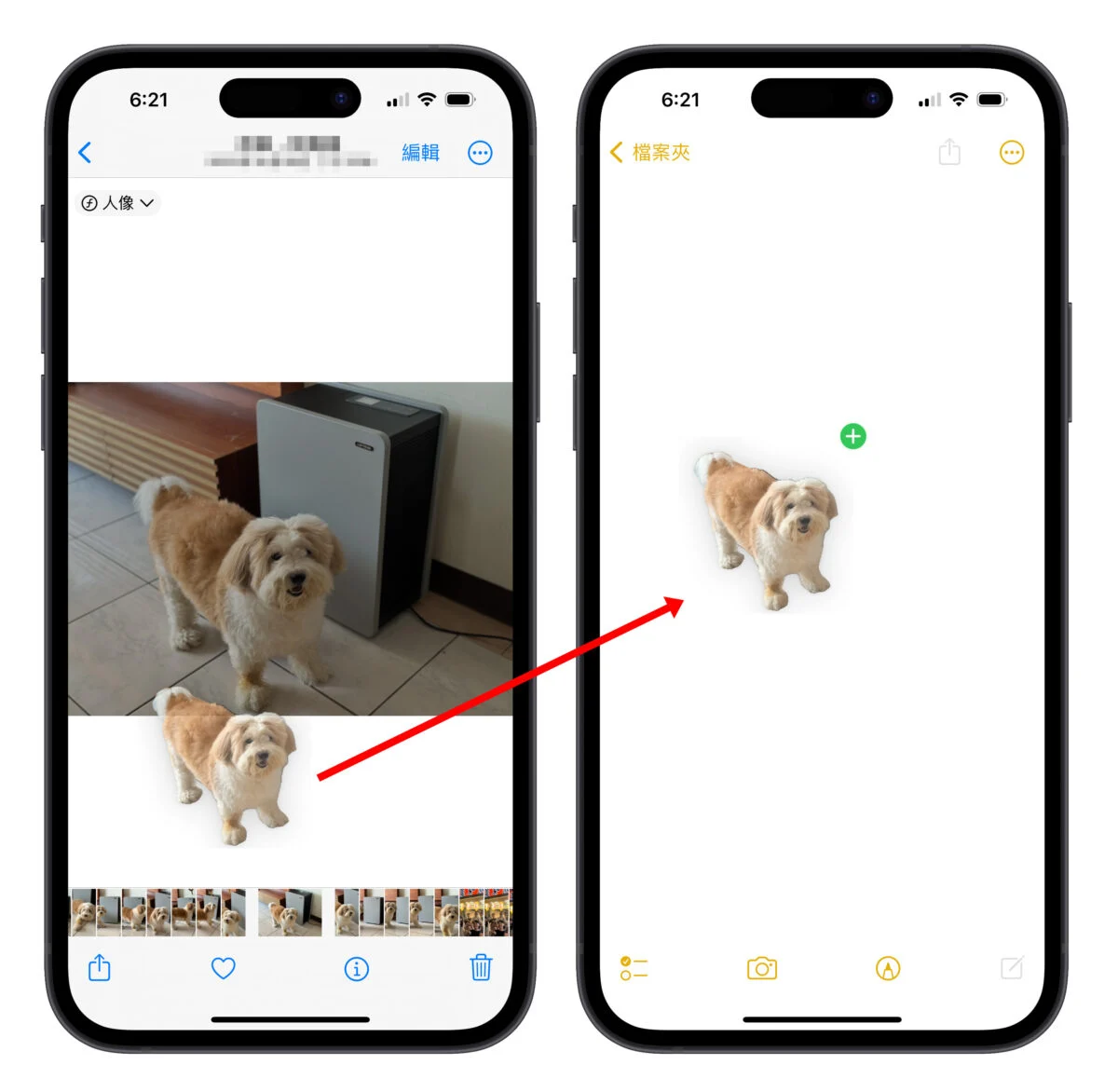 iPhone 照片去背完整教学：免下载 App、内建相簿帮你一键照片去背景